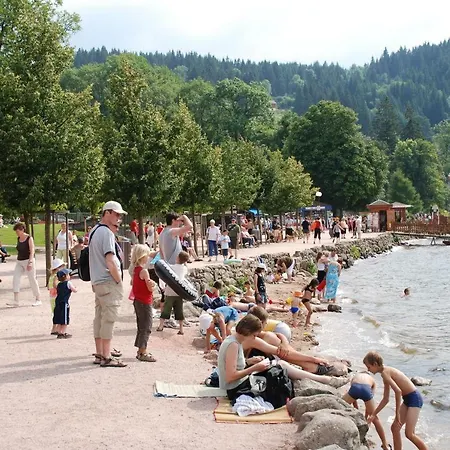 Les Logis Mansardes Gerardmer